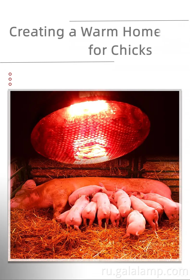 Оптовая профессиональная E27 150 Вт красная инфракрасная тепловая лампа для птицеводства